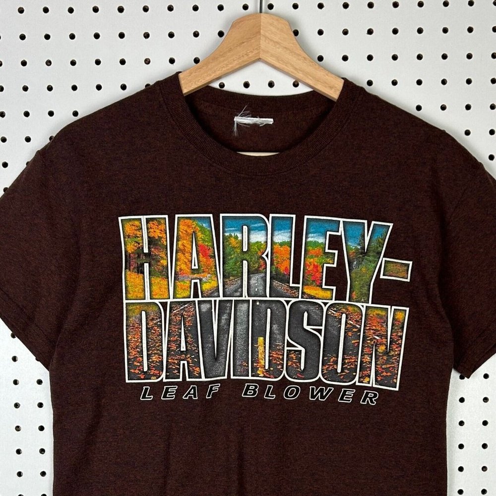Harley Davidson Motorcycle T Shirt Leaf Blower‎ Brown Graphic Jackson Hole Small
